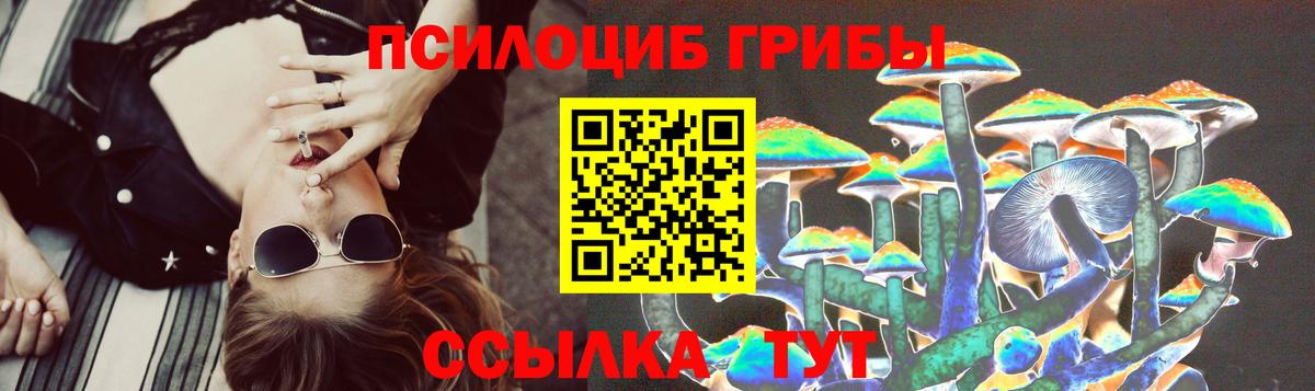 Озёрск  Галлюциногенные грибы ЛСД  Вход с VPN 